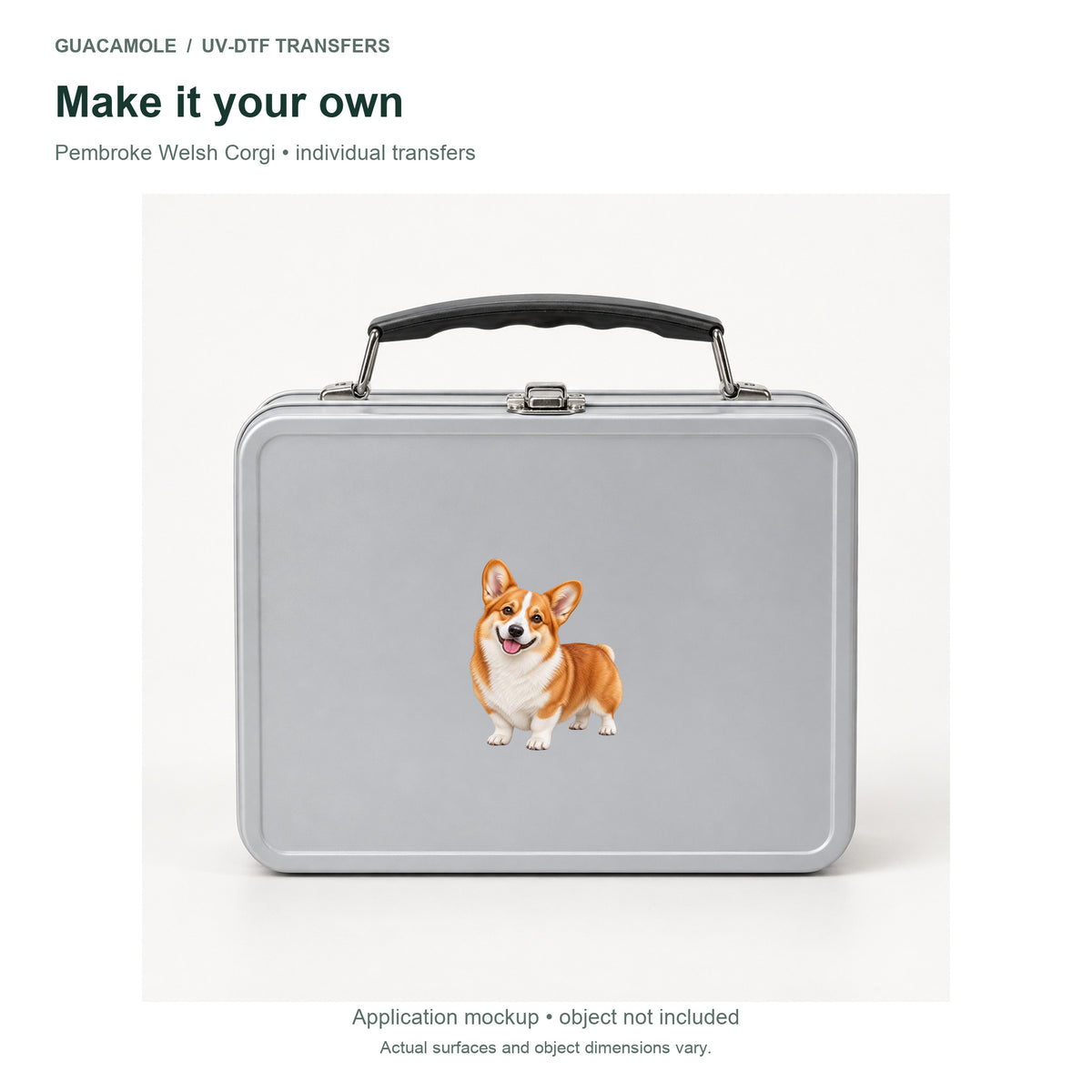 Pembroke Welsh Corgi — Second application setting