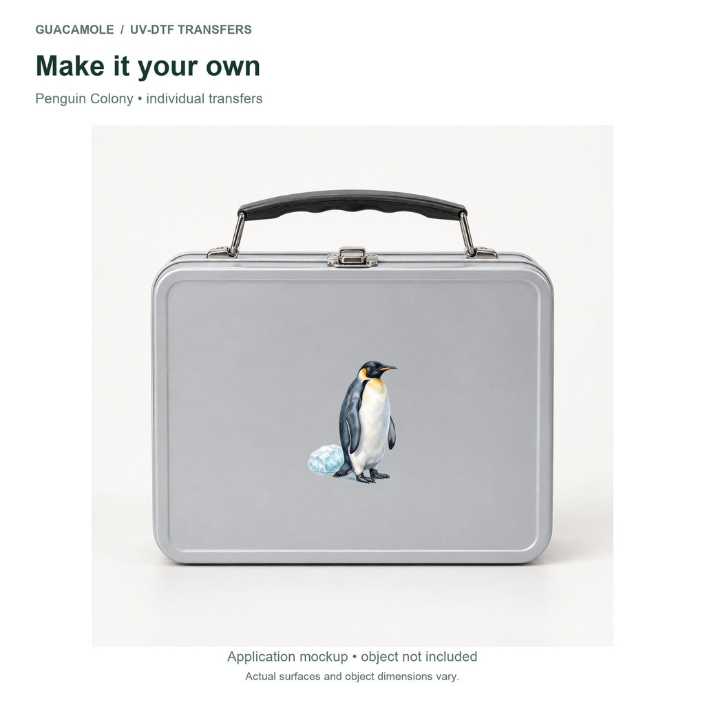 Penguin Colony — Second application setting
