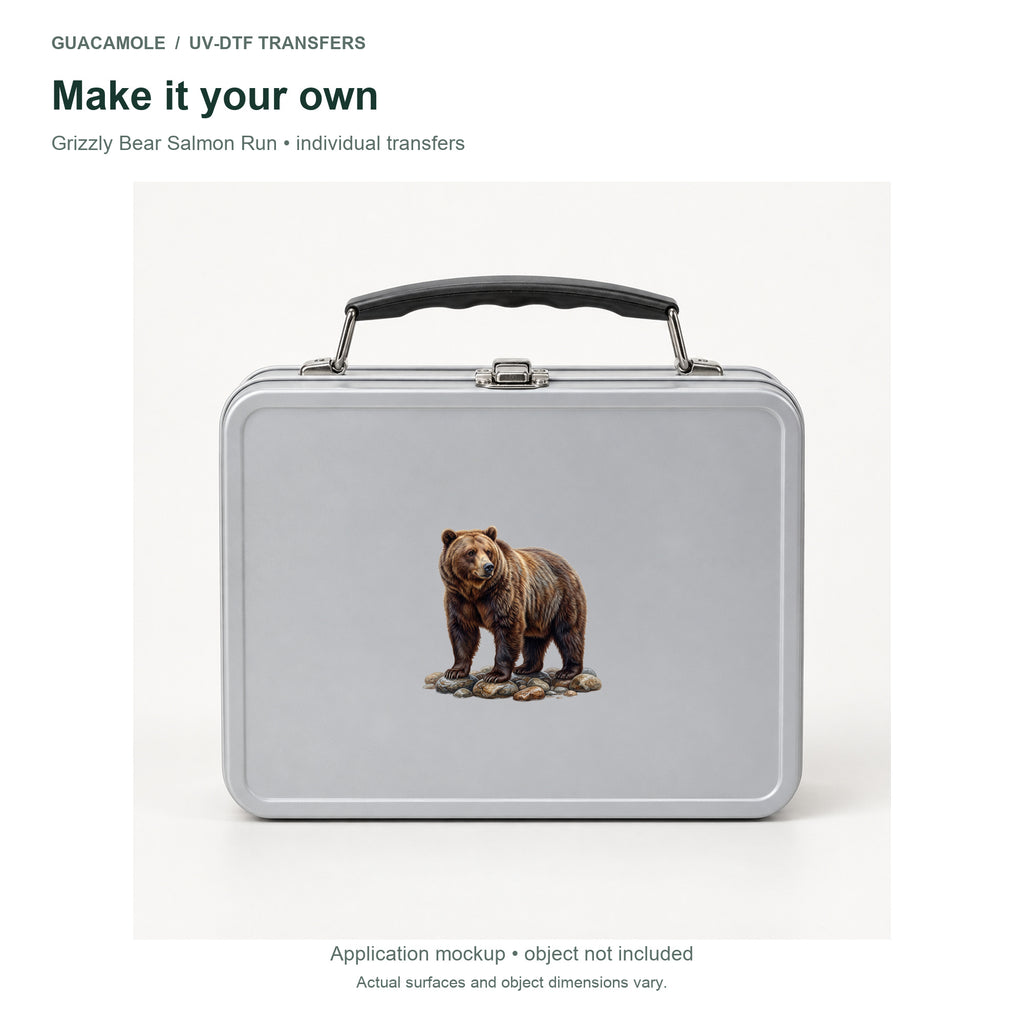 Grizzly Bear Salmon Run — Second application setting