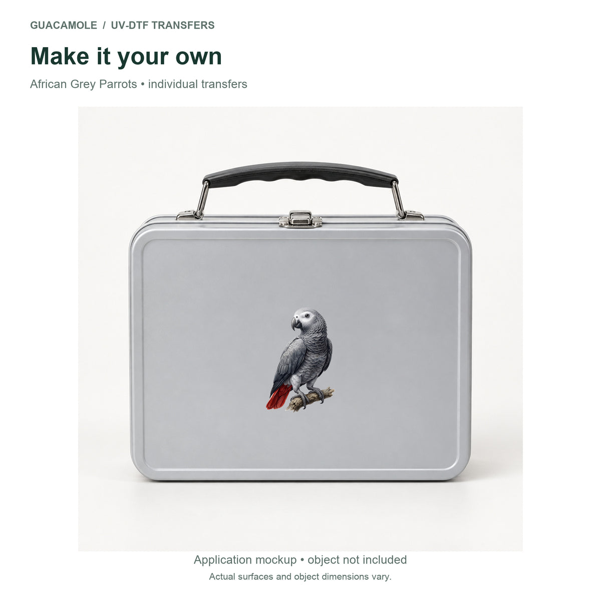 African Grey Parrots — Second application setting