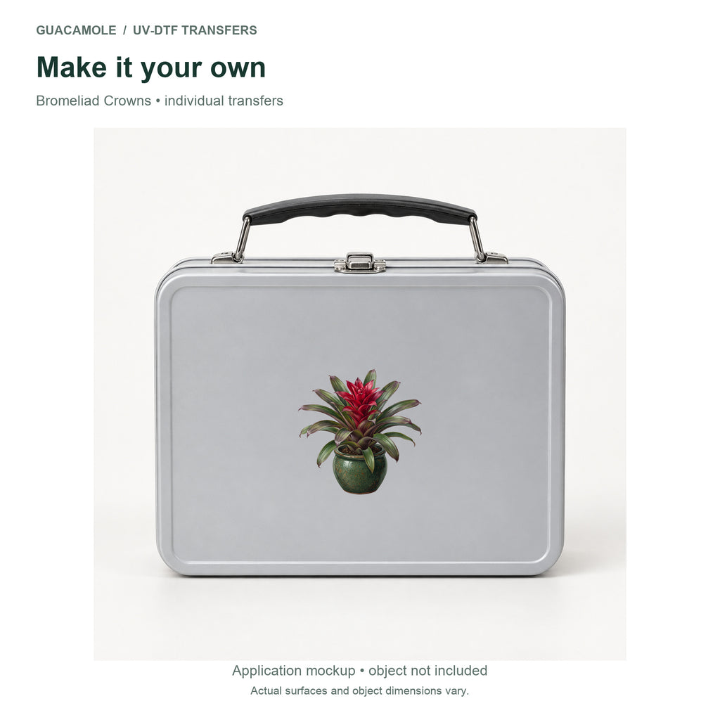 Bromeliad Crowns — Second application setting