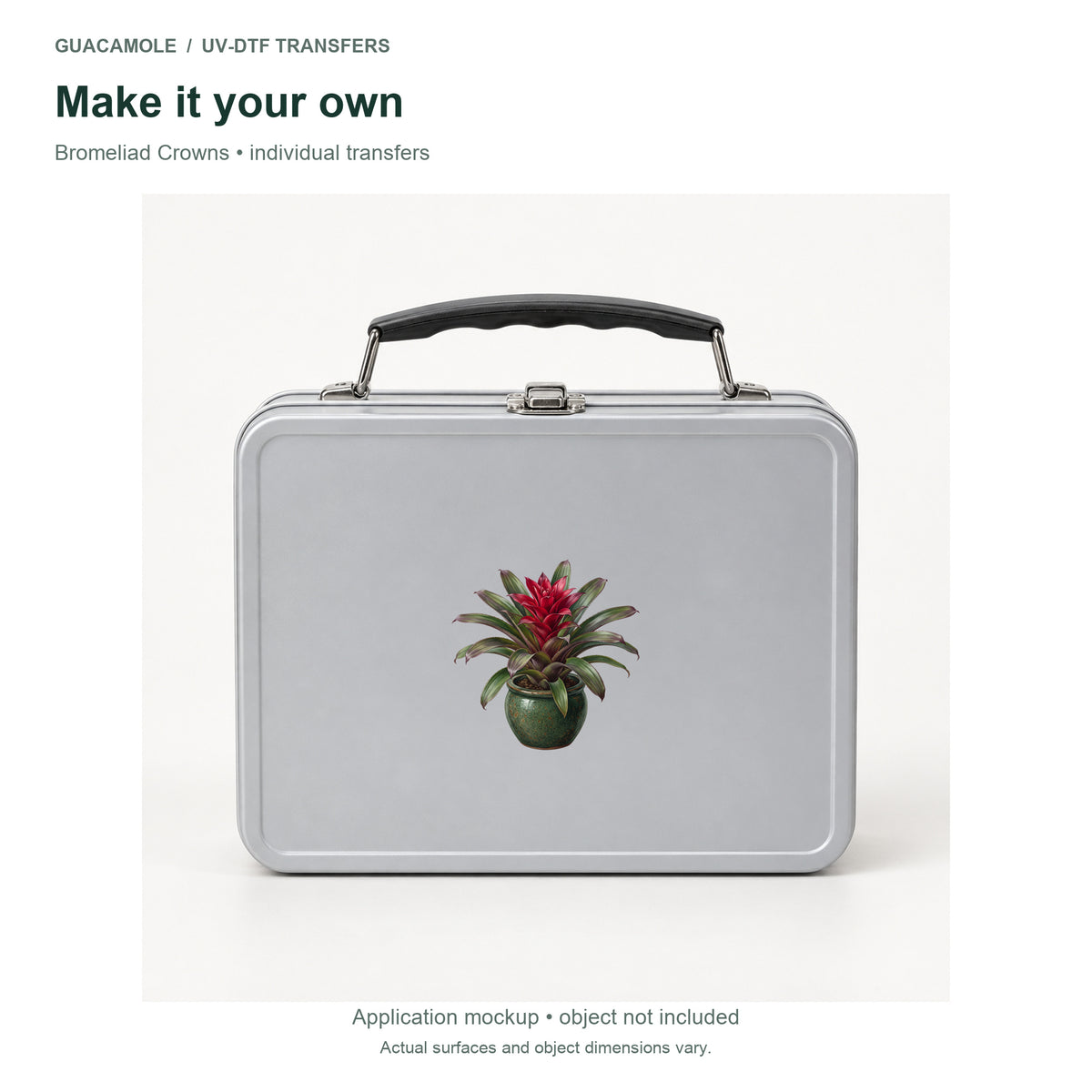Bromeliad Crowns — Second application setting