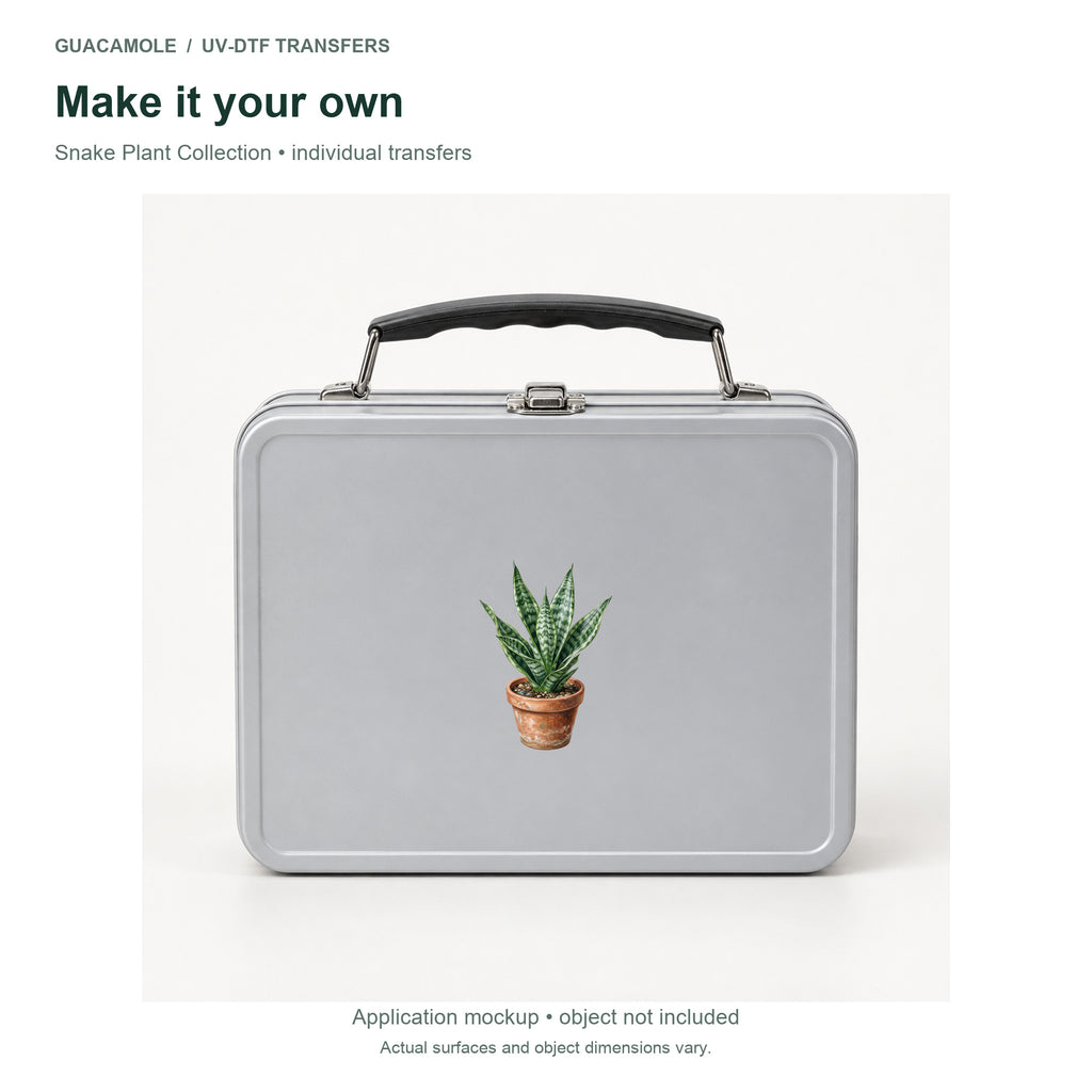 Snake Plant Collection — Second application setting