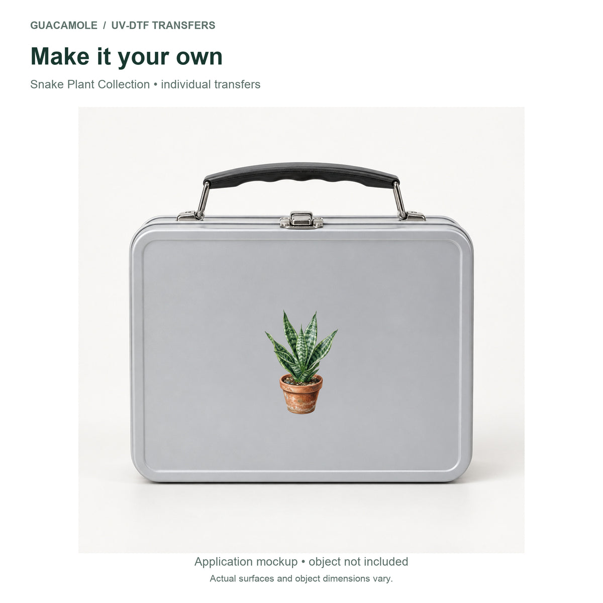 Snake Plant Collection — Second application setting