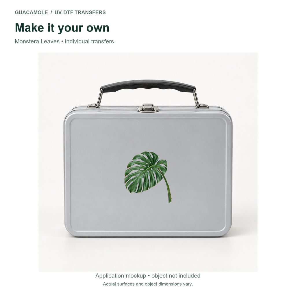 Monstera Leaves — Second application setting