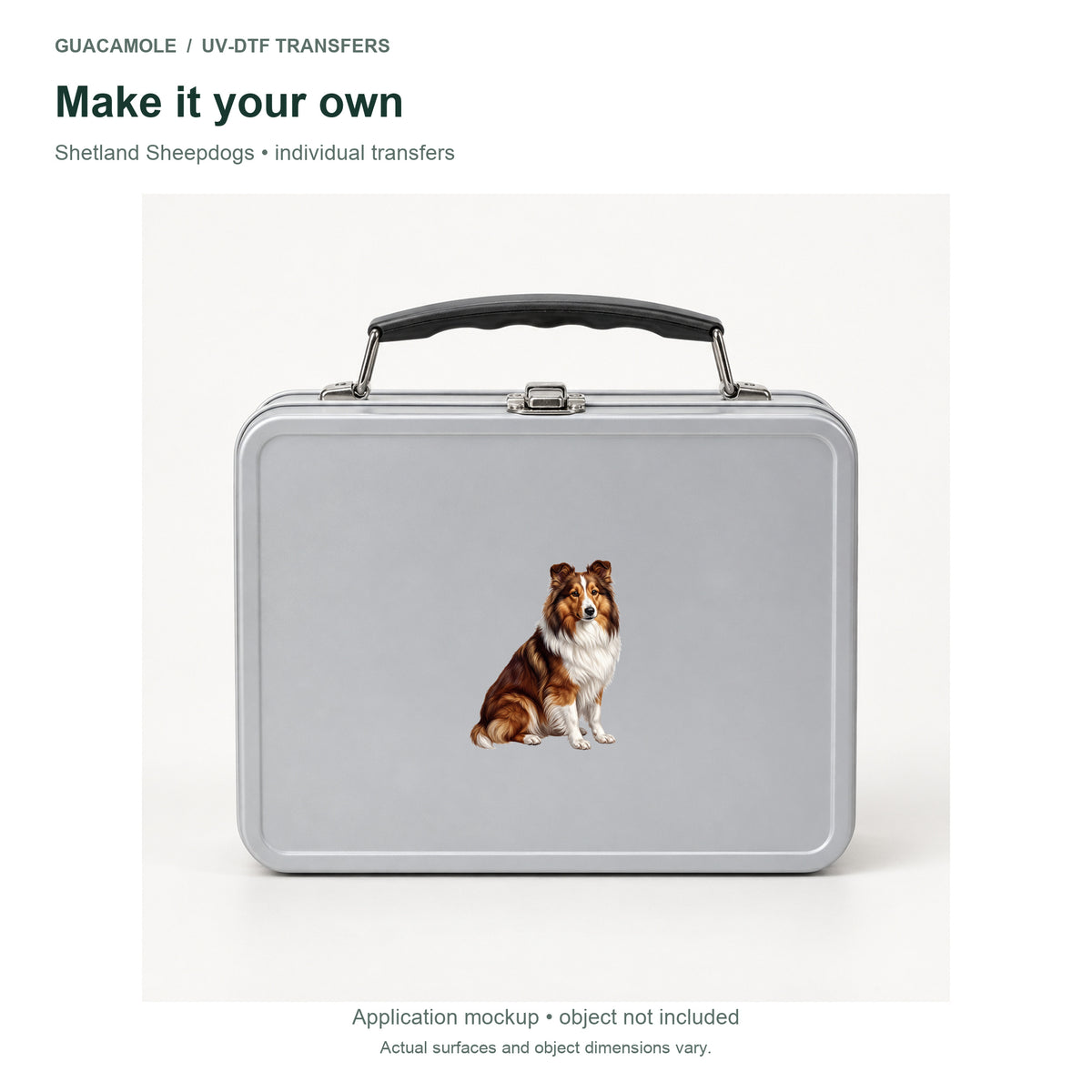 Shetland Sheepdogs — Second application setting