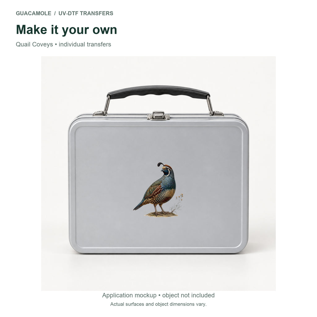 Quail Coveys — Second application setting