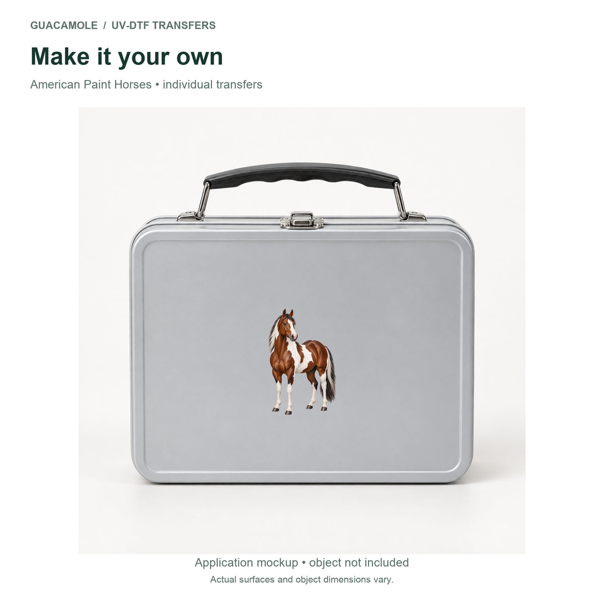 American Paint Horses — Second application setting