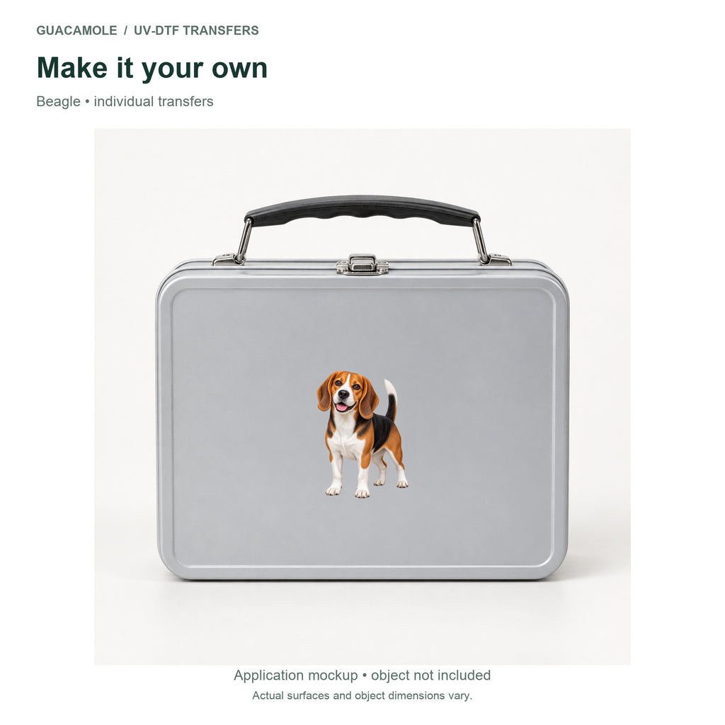 Beagle — Second application setting