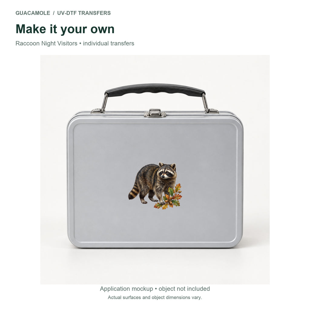 Raccoon Night Visitors — Second application setting