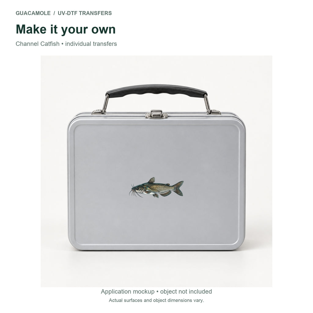 Channel Catfish — Second application setting