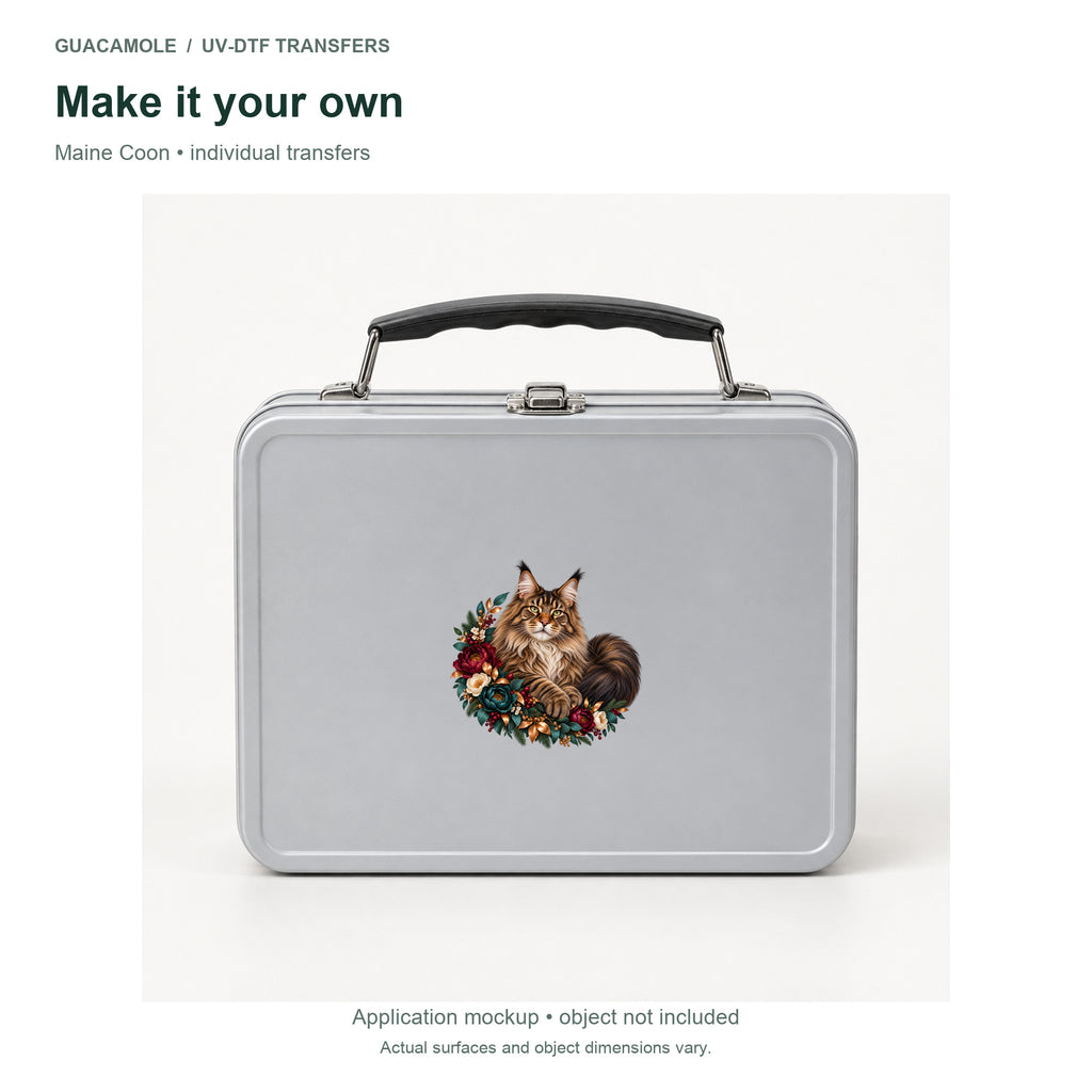 Maine Coon — Second application setting