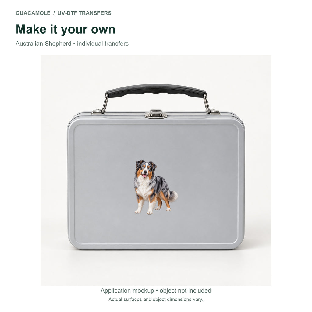 Australian Shepherd — Second application setting