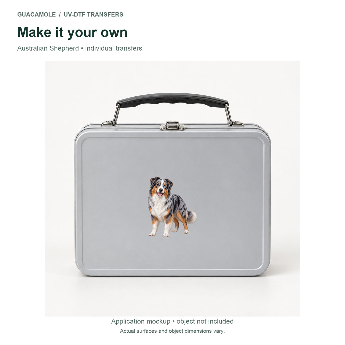 Australian Shepherd — Second application setting