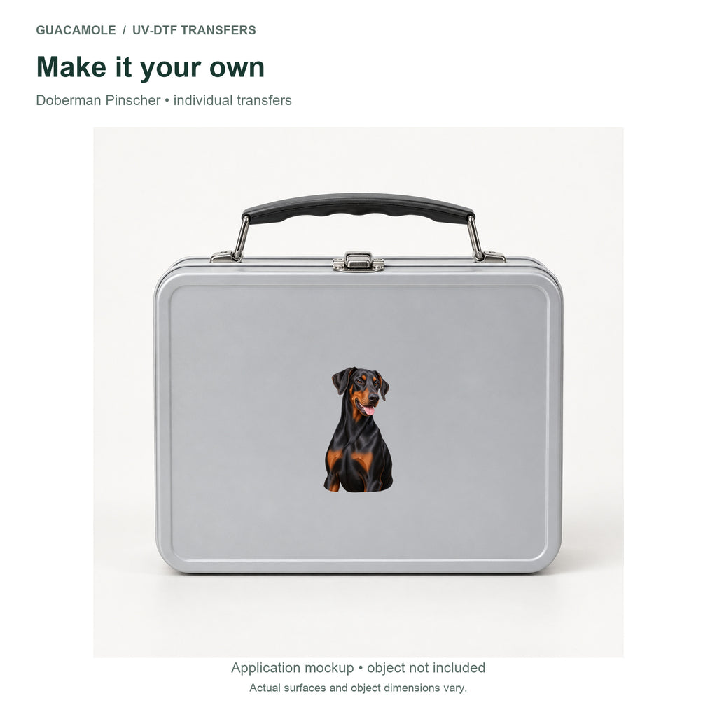 Doberman Pinscher — Second application setting