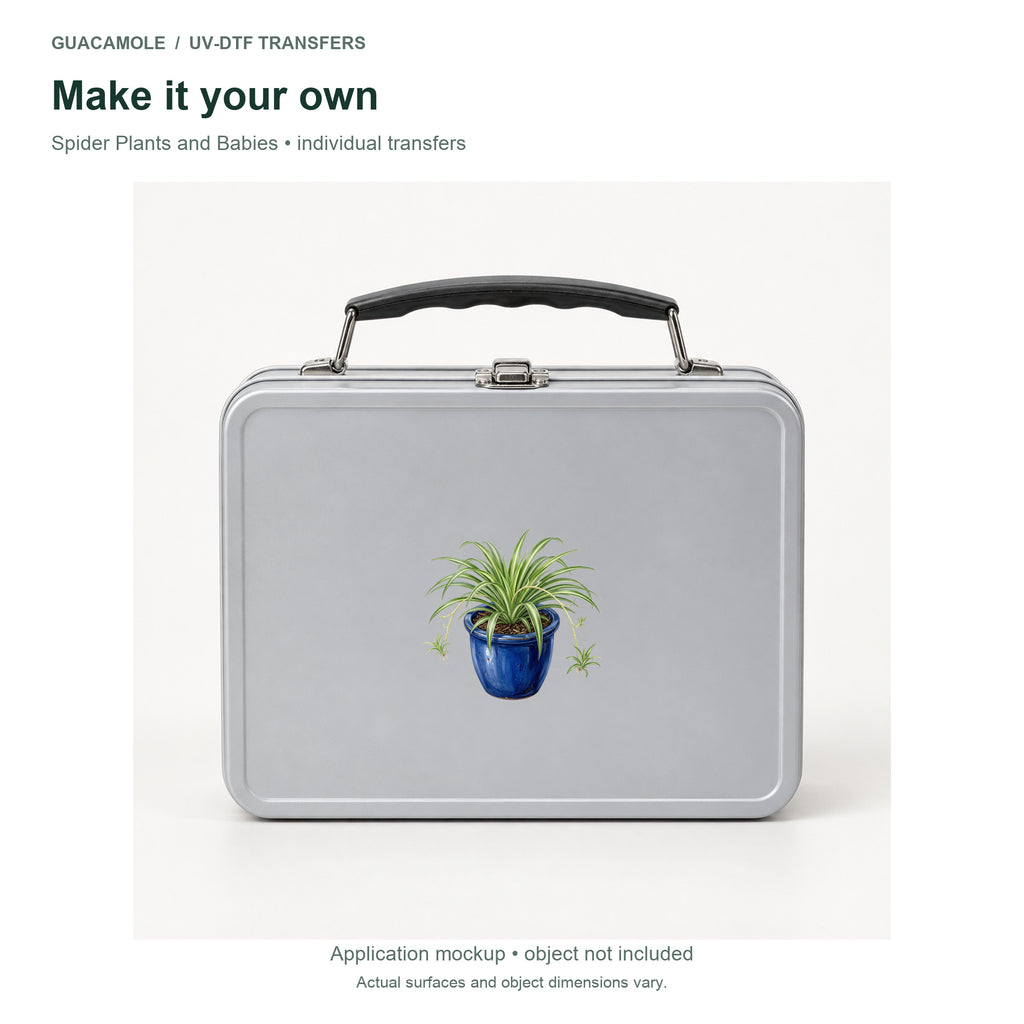 Spider Plants and Babies — Second application setting