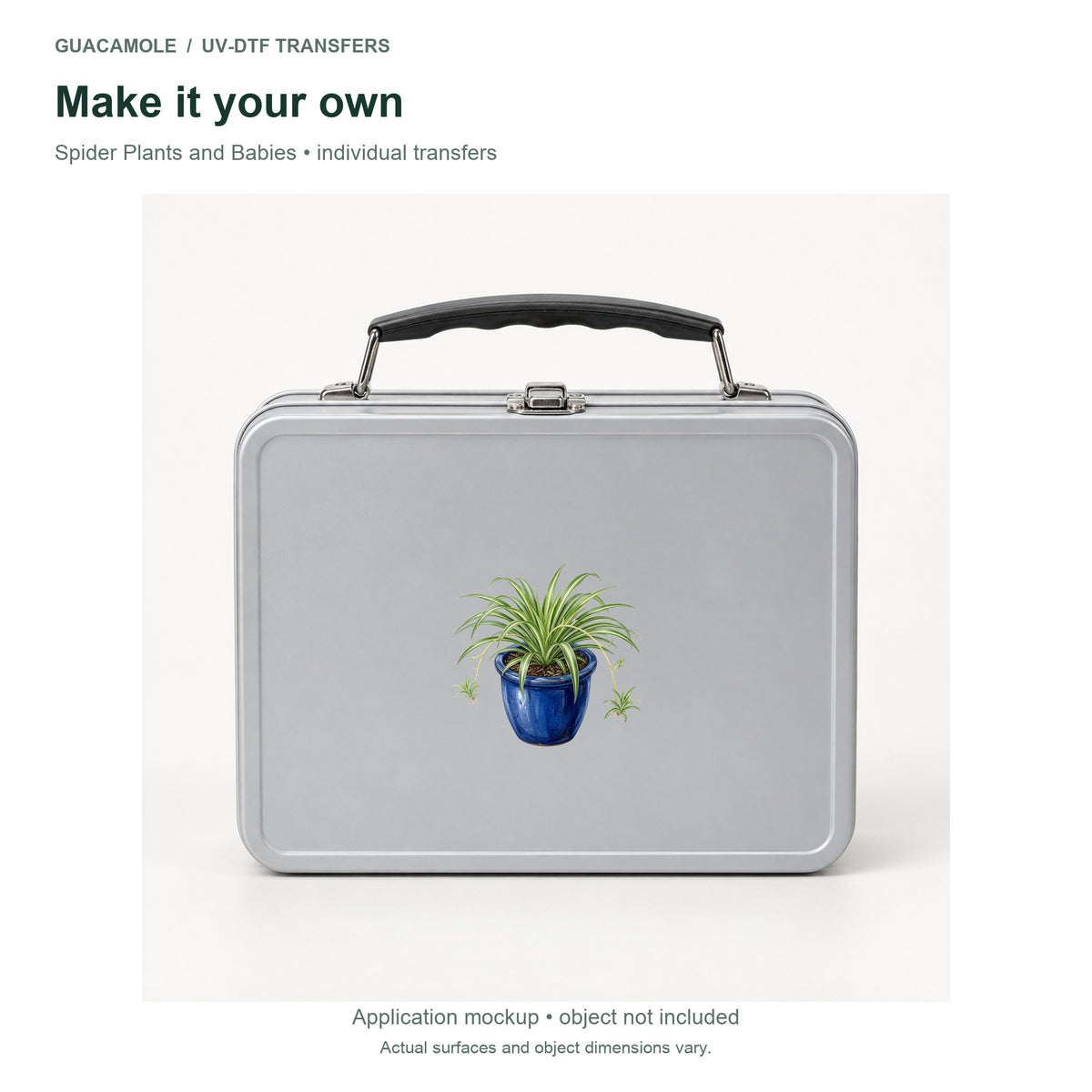 Spider Plants and Babies — Second application setting