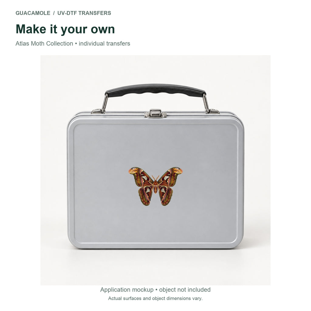 Atlas Moth Collection — Second application setting
