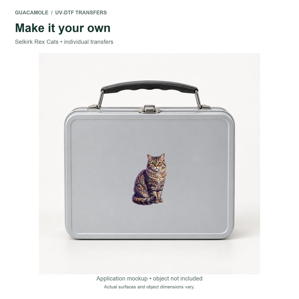 Selkirk Rex Cats — Second application setting