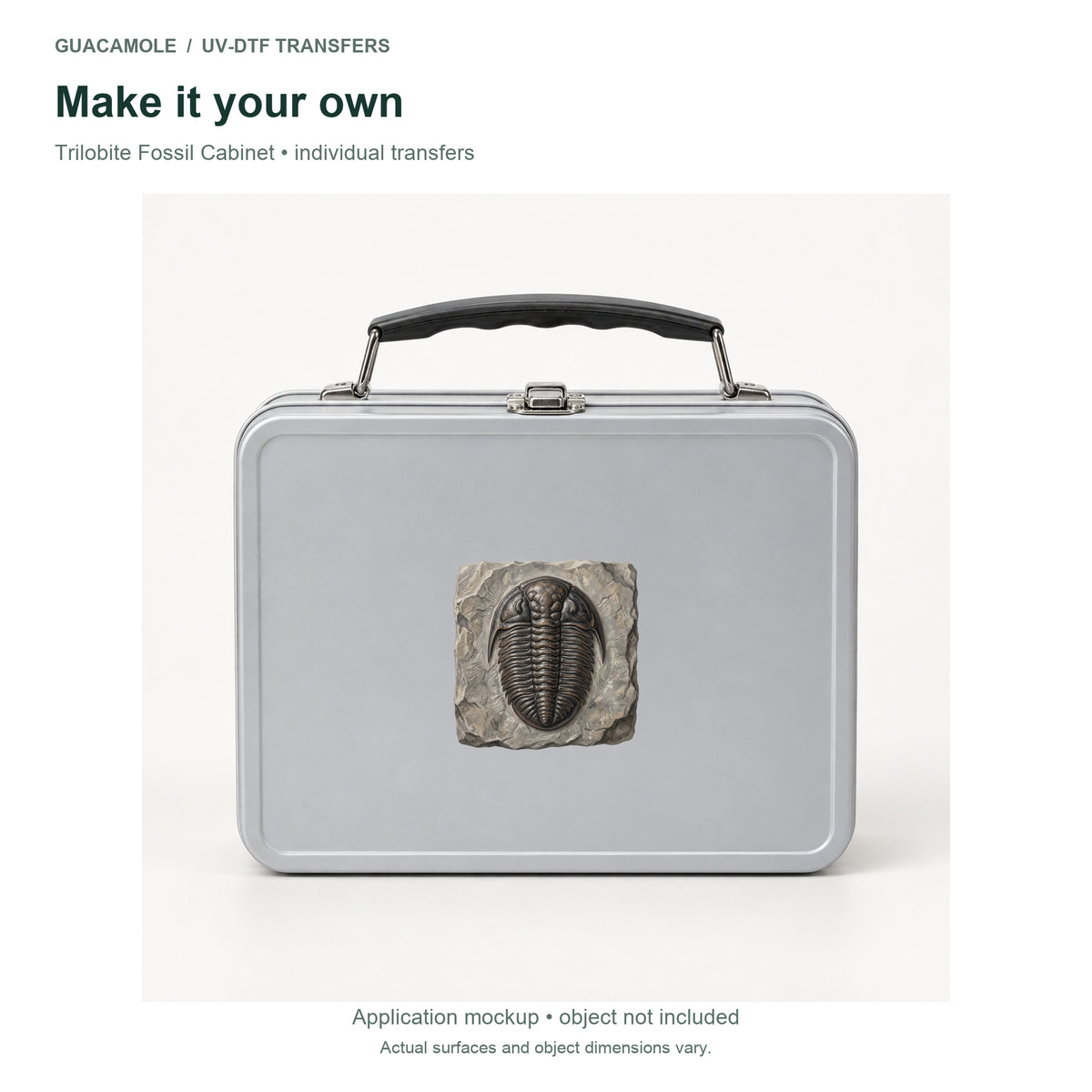 Trilobite Fossil Cabinet — Second application setting