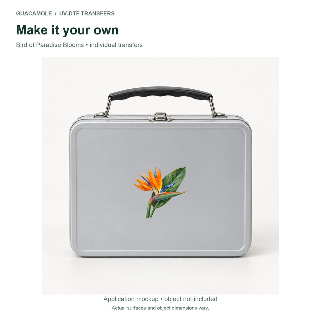 Bird of Paradise Blooms — Second application setting