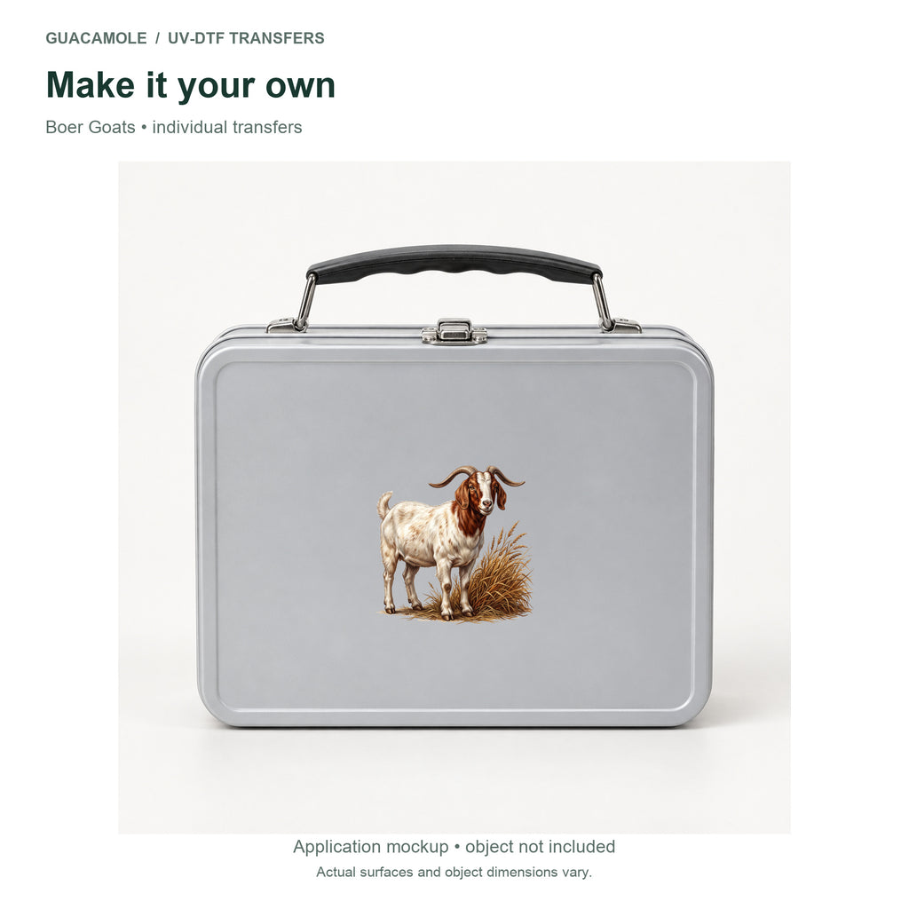 Boer Goats — Second application setting