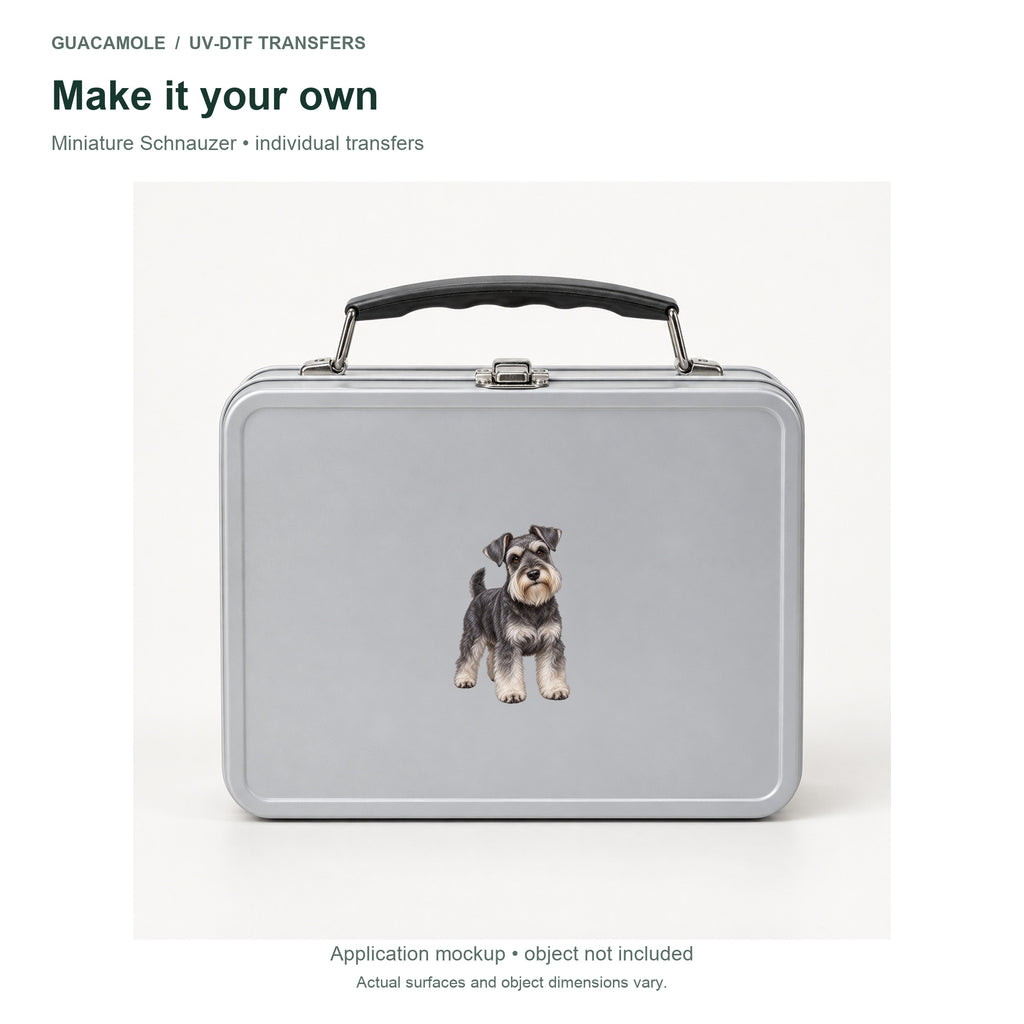 Miniature Schnauzer — Second application setting