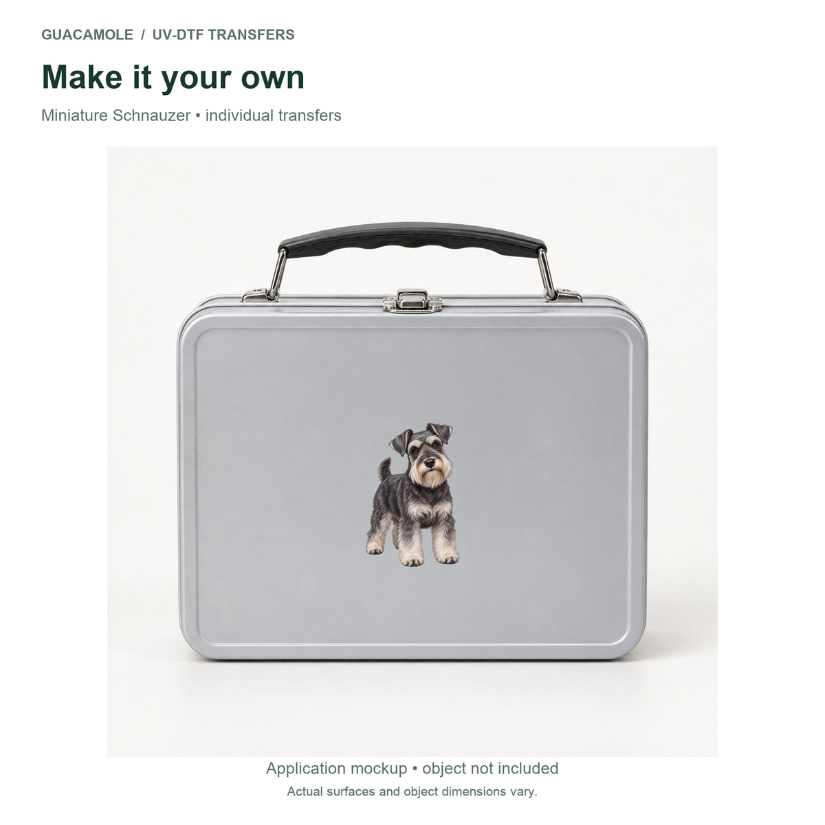 Miniature Schnauzer — Second application setting