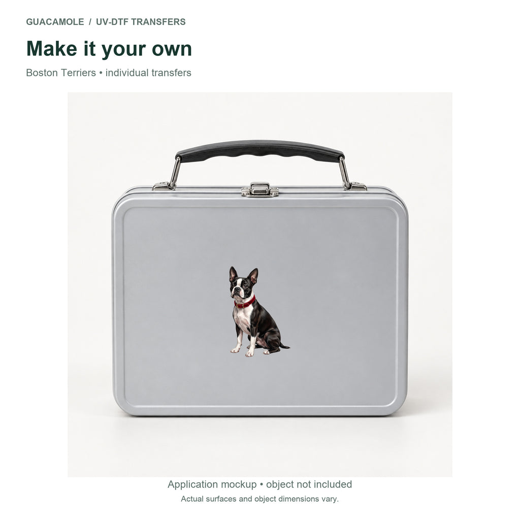 Boston Terriers — Second application setting
