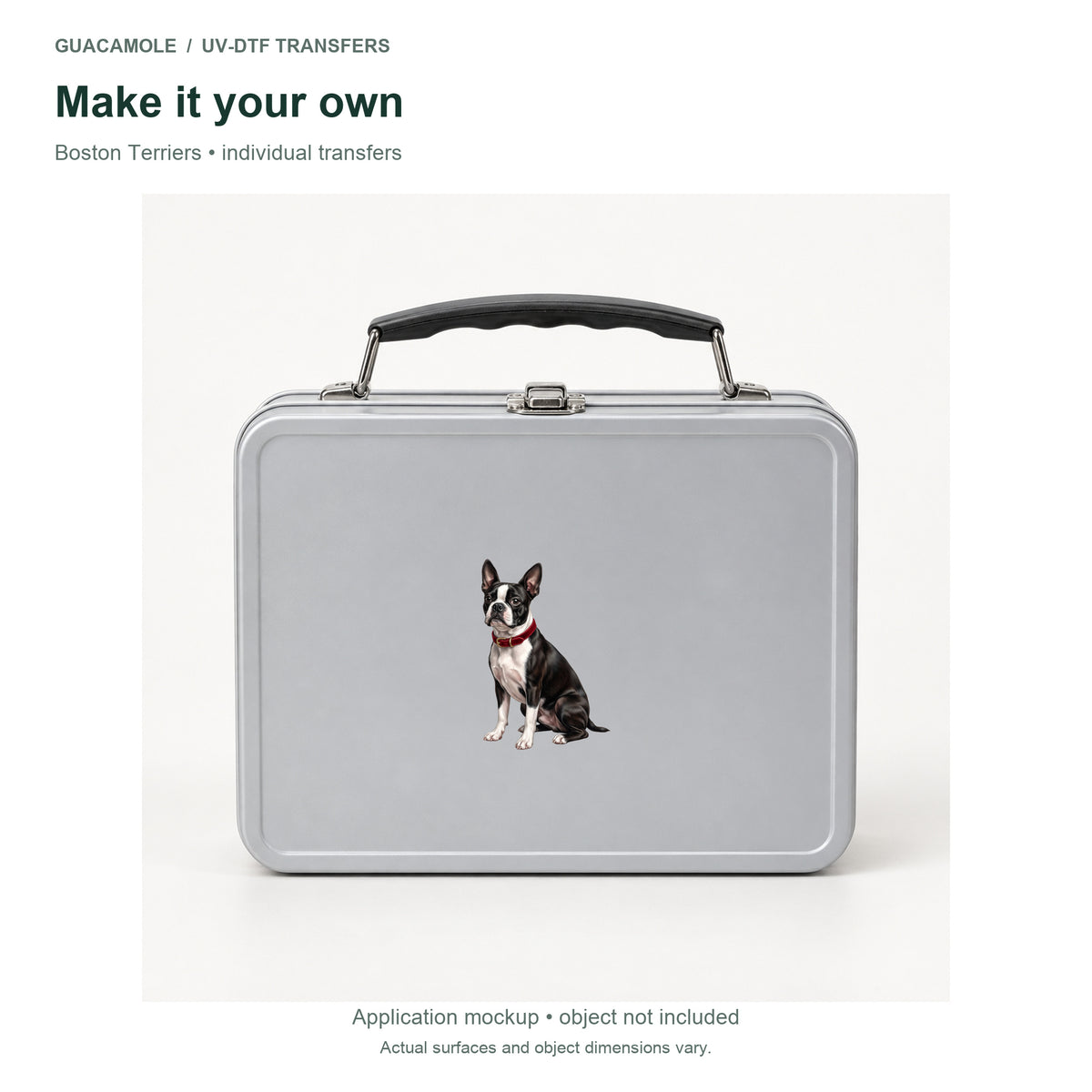 Boston Terriers — Second application setting