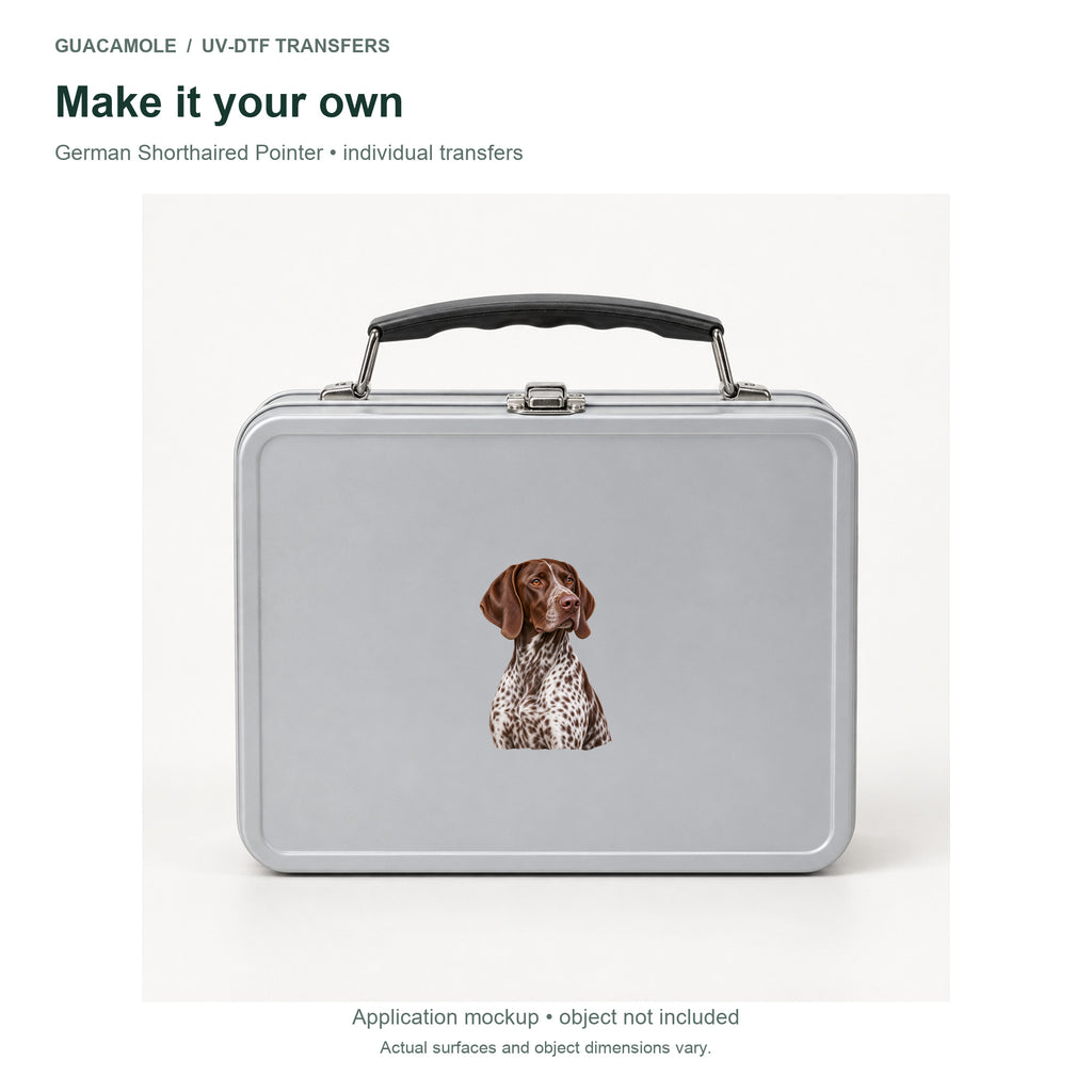 German Shorthaired Pointer — Second application setting