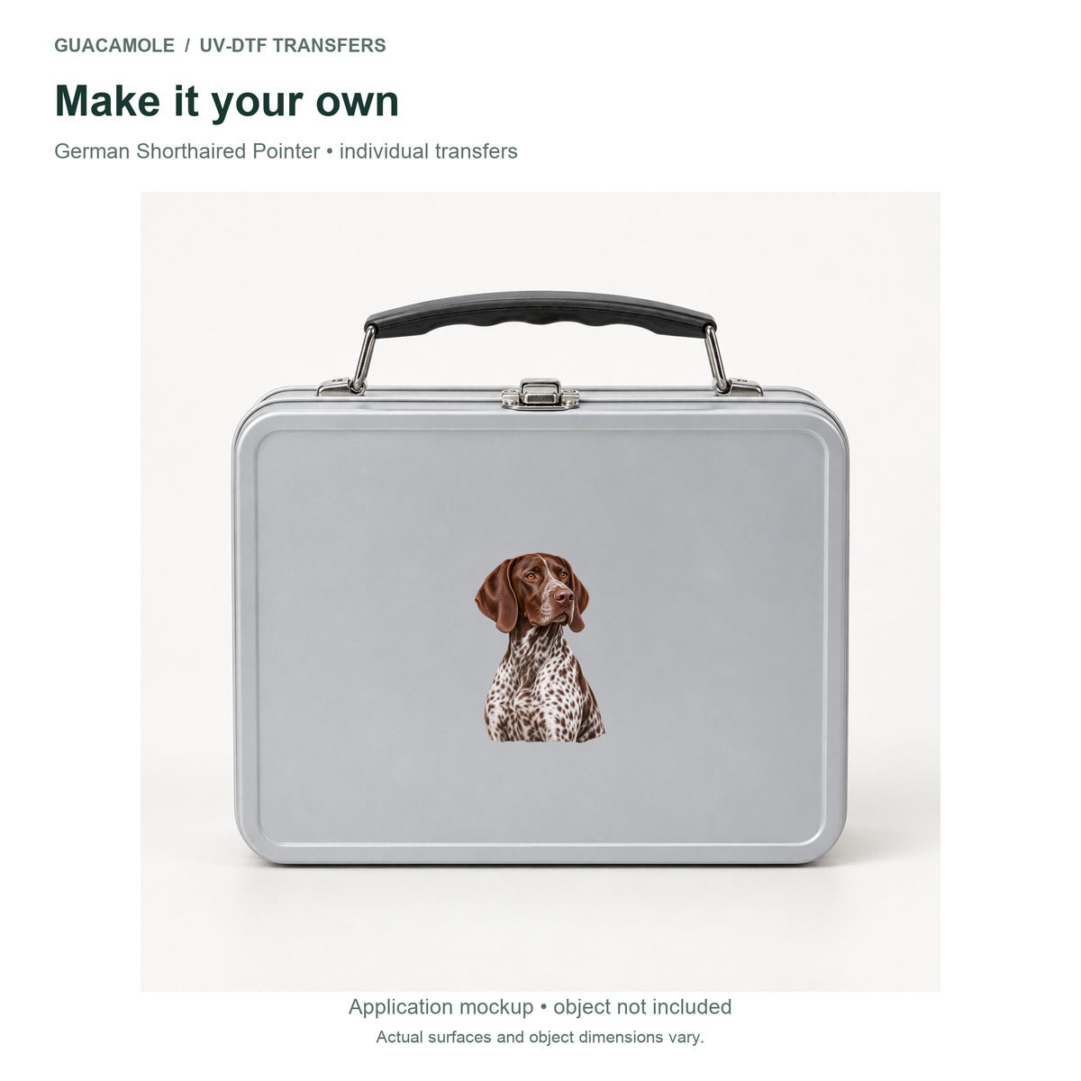 German Shorthaired Pointer — Second application setting