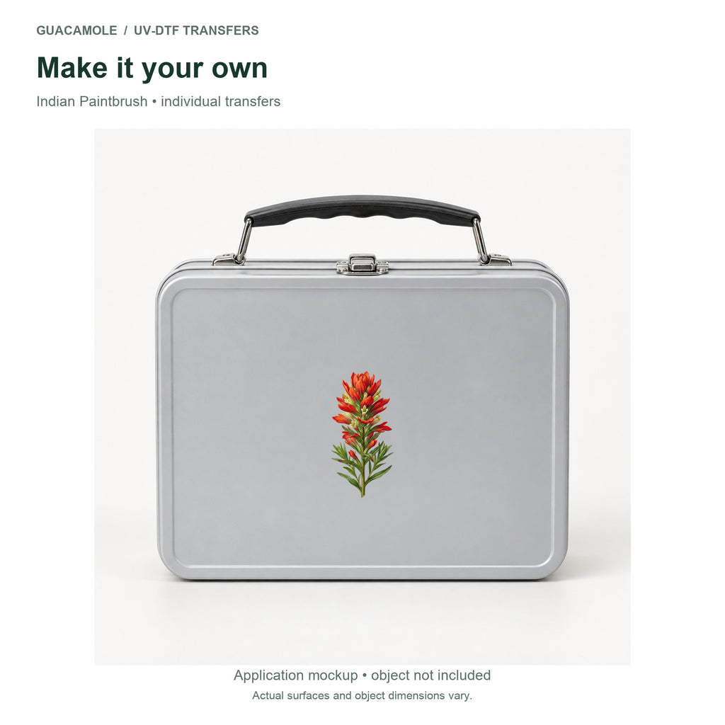 Indian Paintbrush — Second application setting