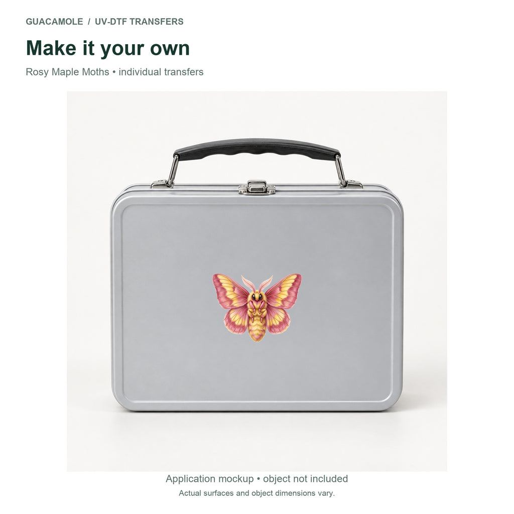 Rosy Maple Moths — Second application setting