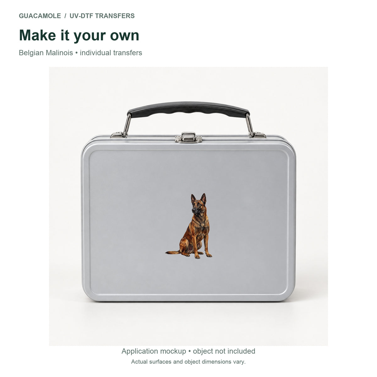 Belgian Malinois — Second application setting