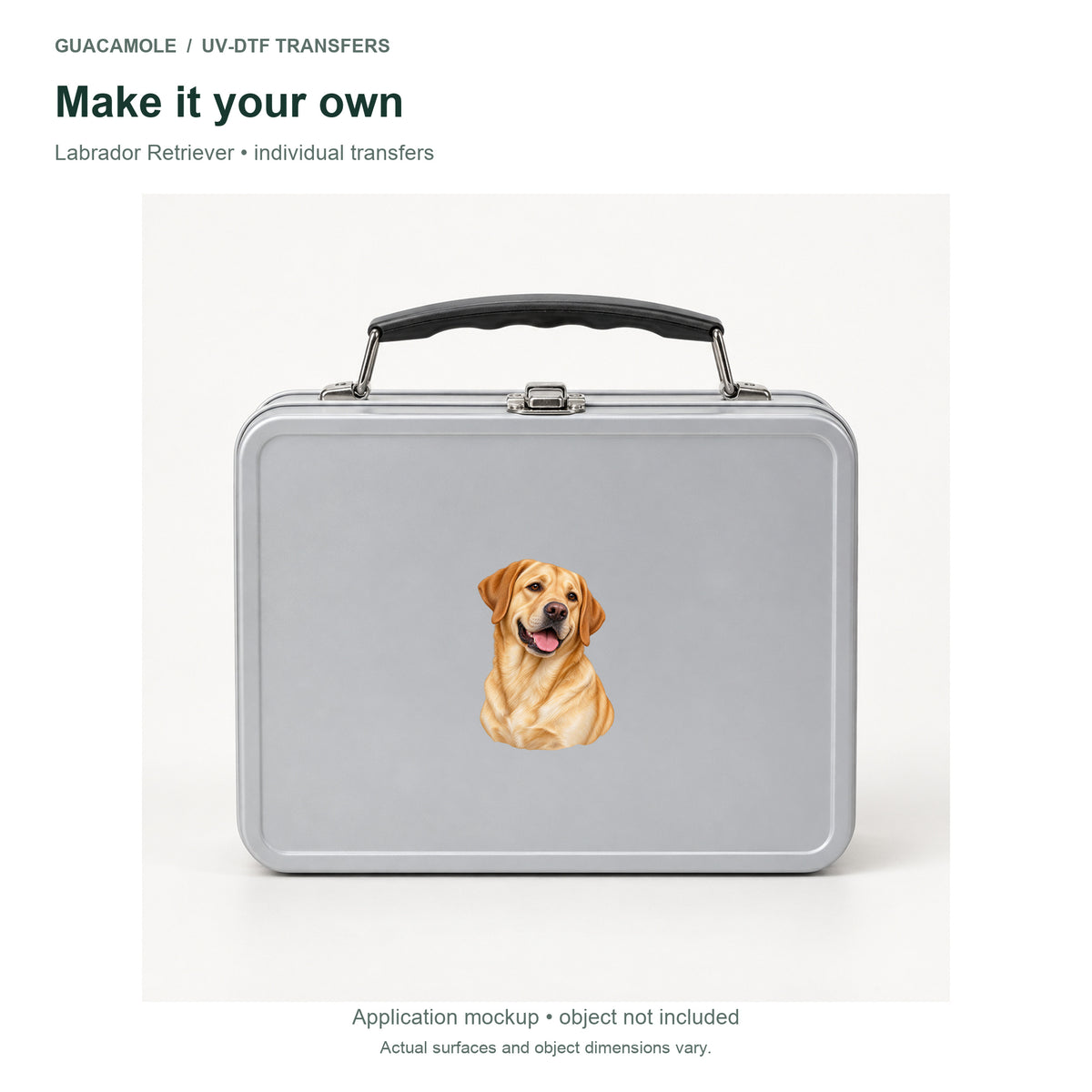 Labrador Retriever — Second application setting