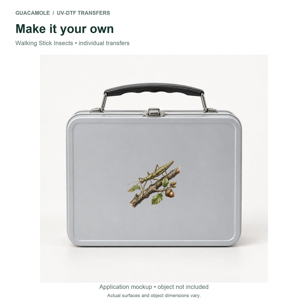 Walking Stick Insects — Second application setting