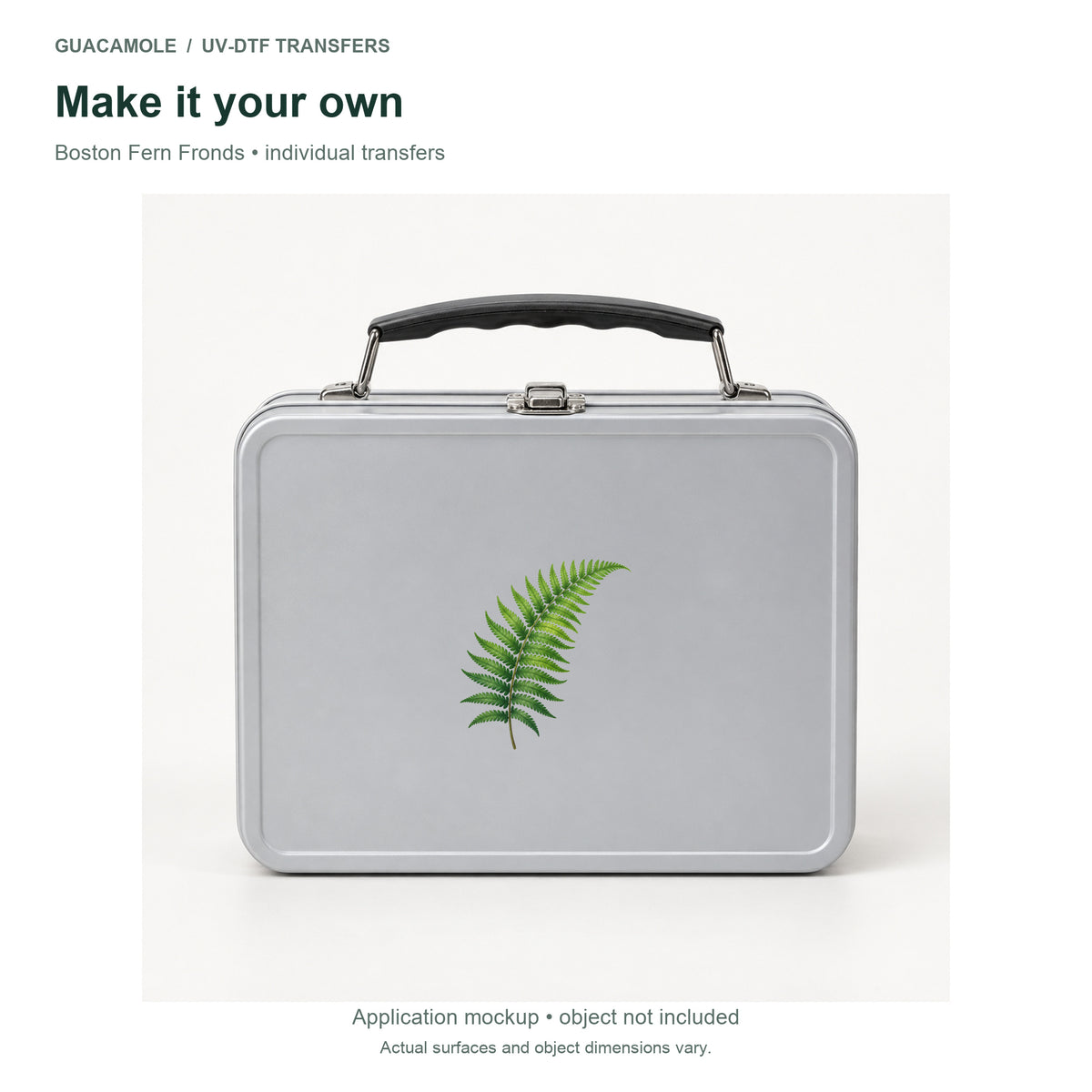Boston Fern Fronds — Second application setting