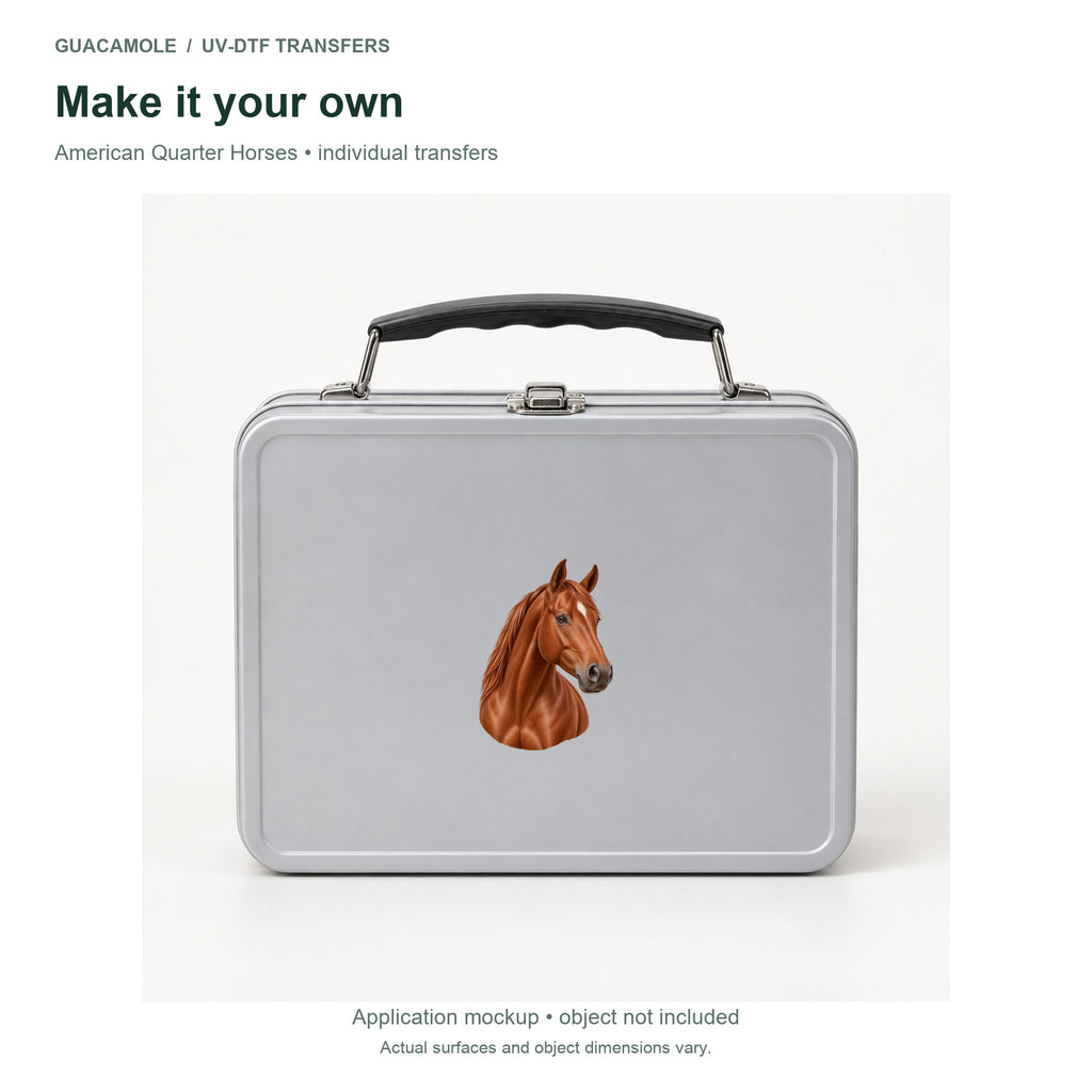 American Quarter Horses — Second application setting