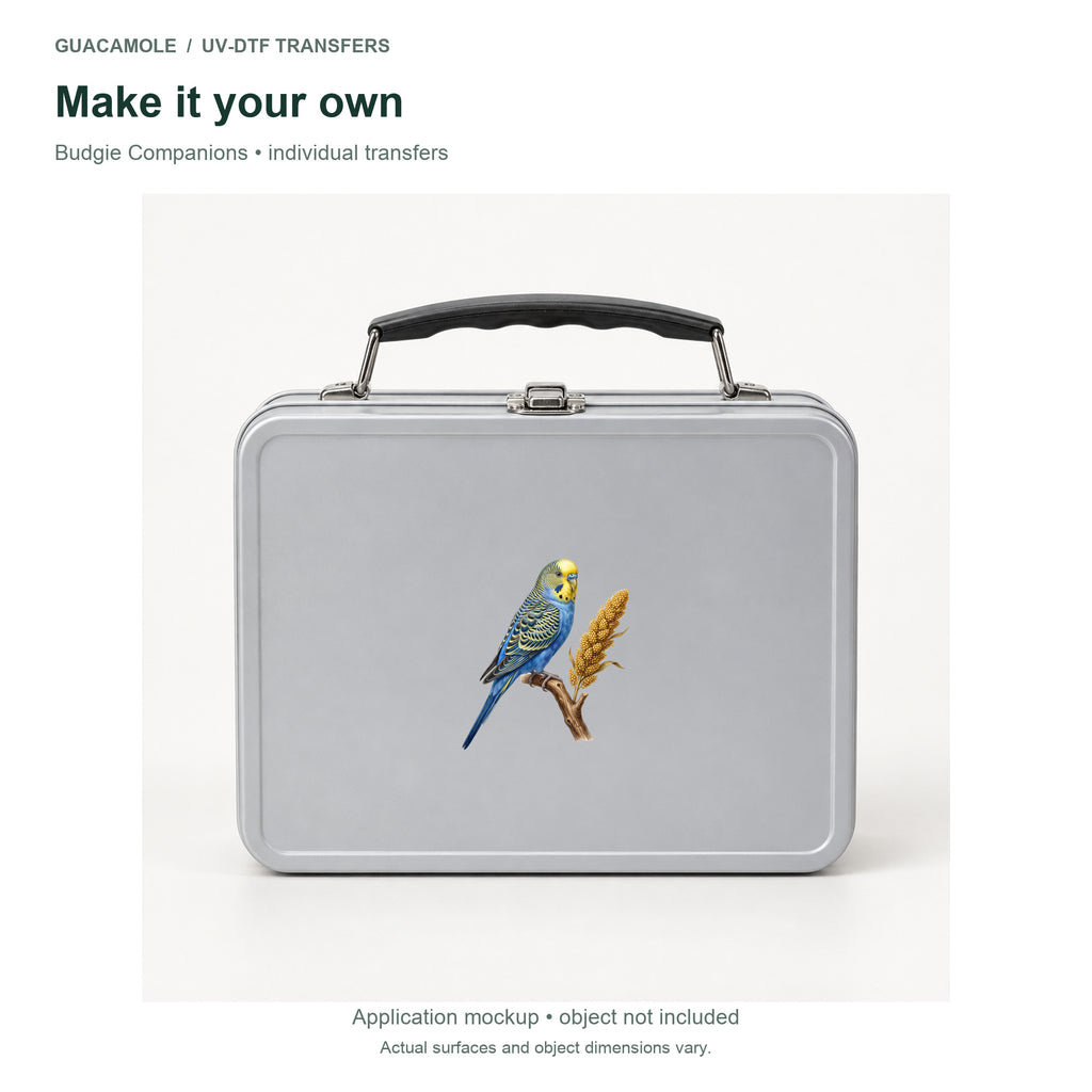 Budgie Companions — Second application setting