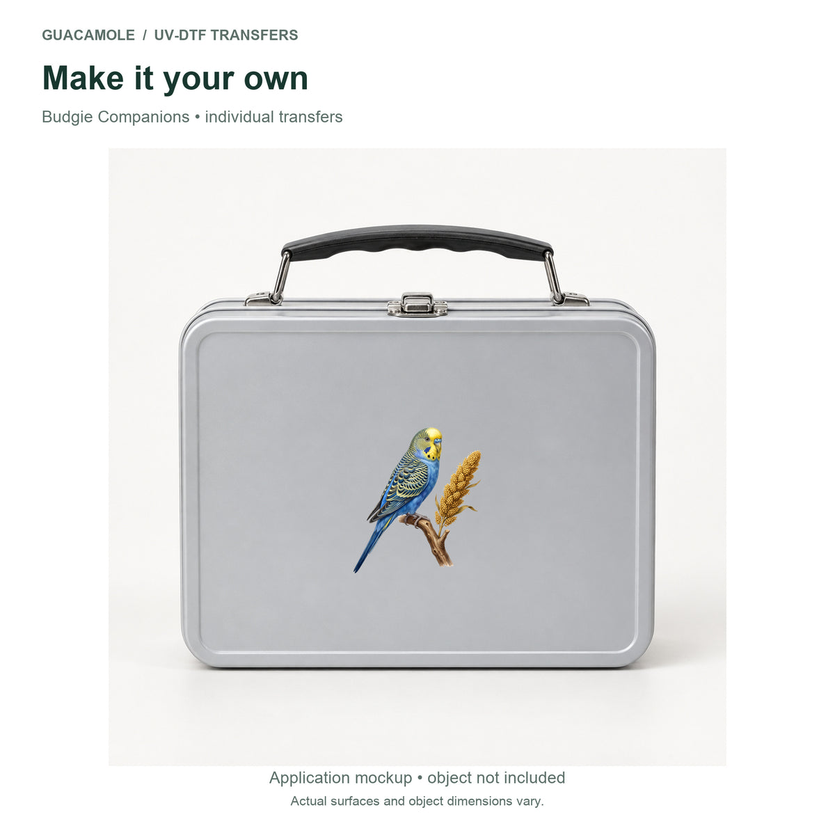 Budgie Companions — Second application setting