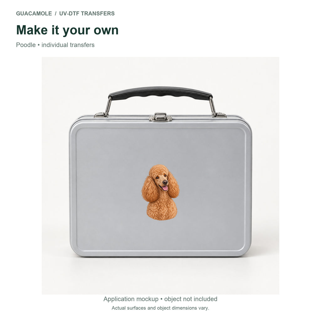 Poodle — Second application setting