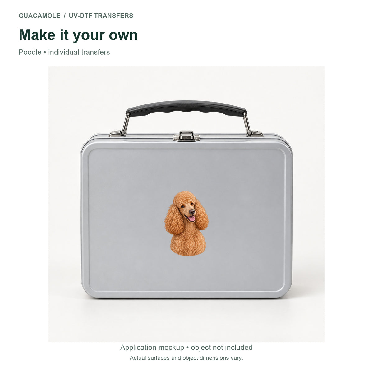Poodle — Second application setting