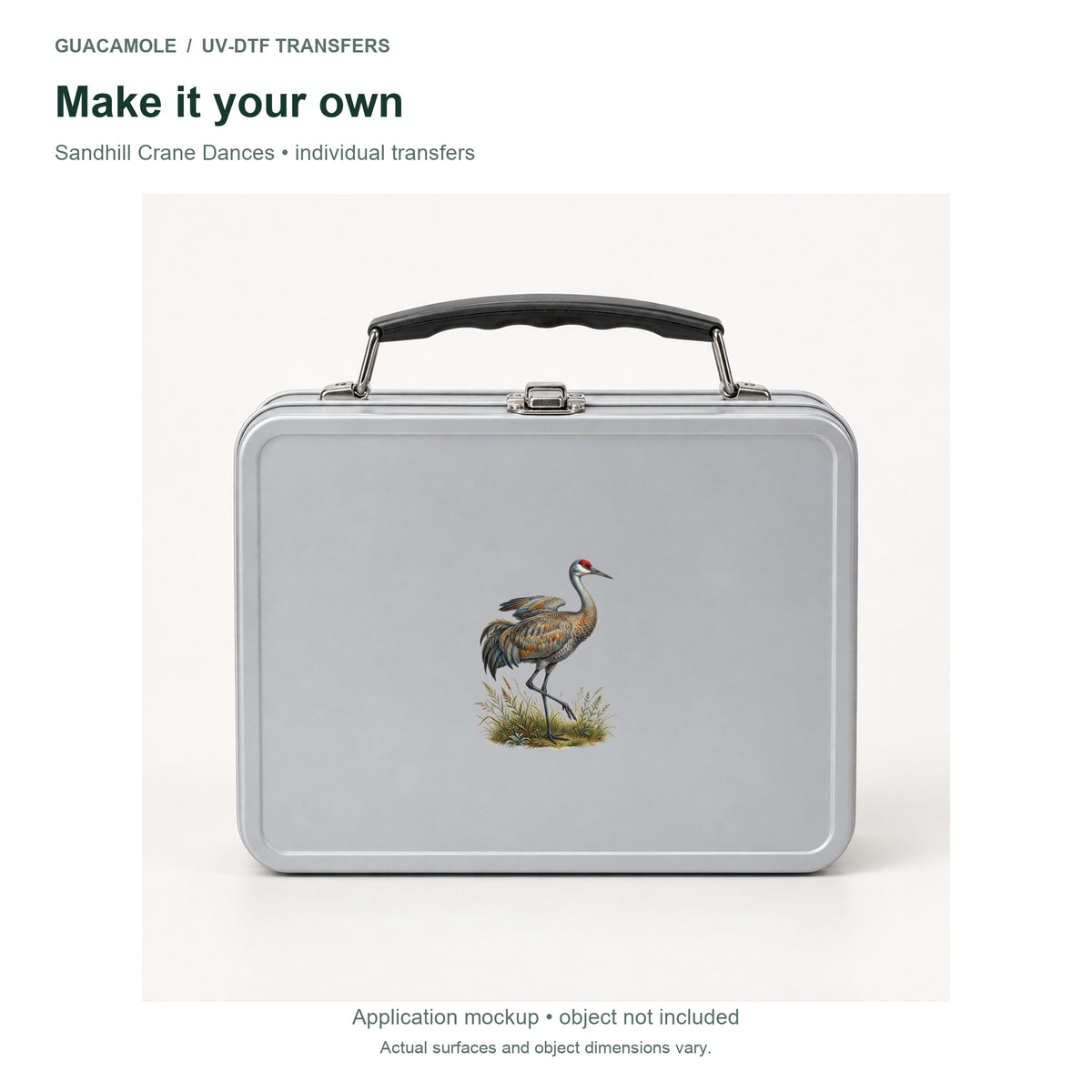 Sandhill Crane Dances — Second application setting