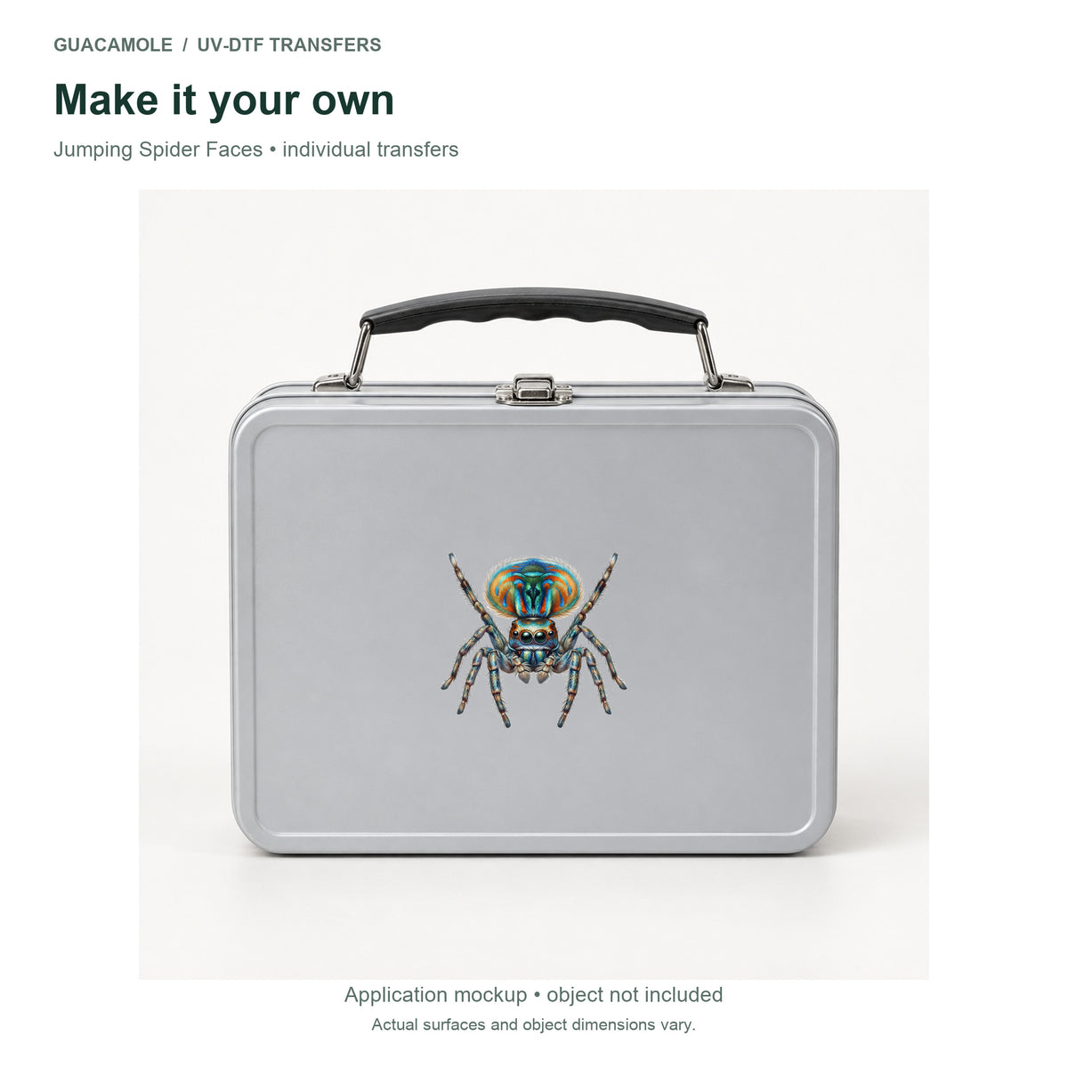 Jumping Spider Faces — Second application setting