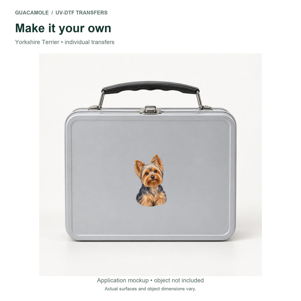 Yorkshire Terrier — Second application setting