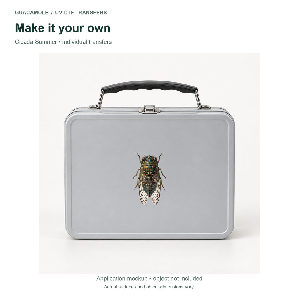 Cicada Summer — Second application setting
