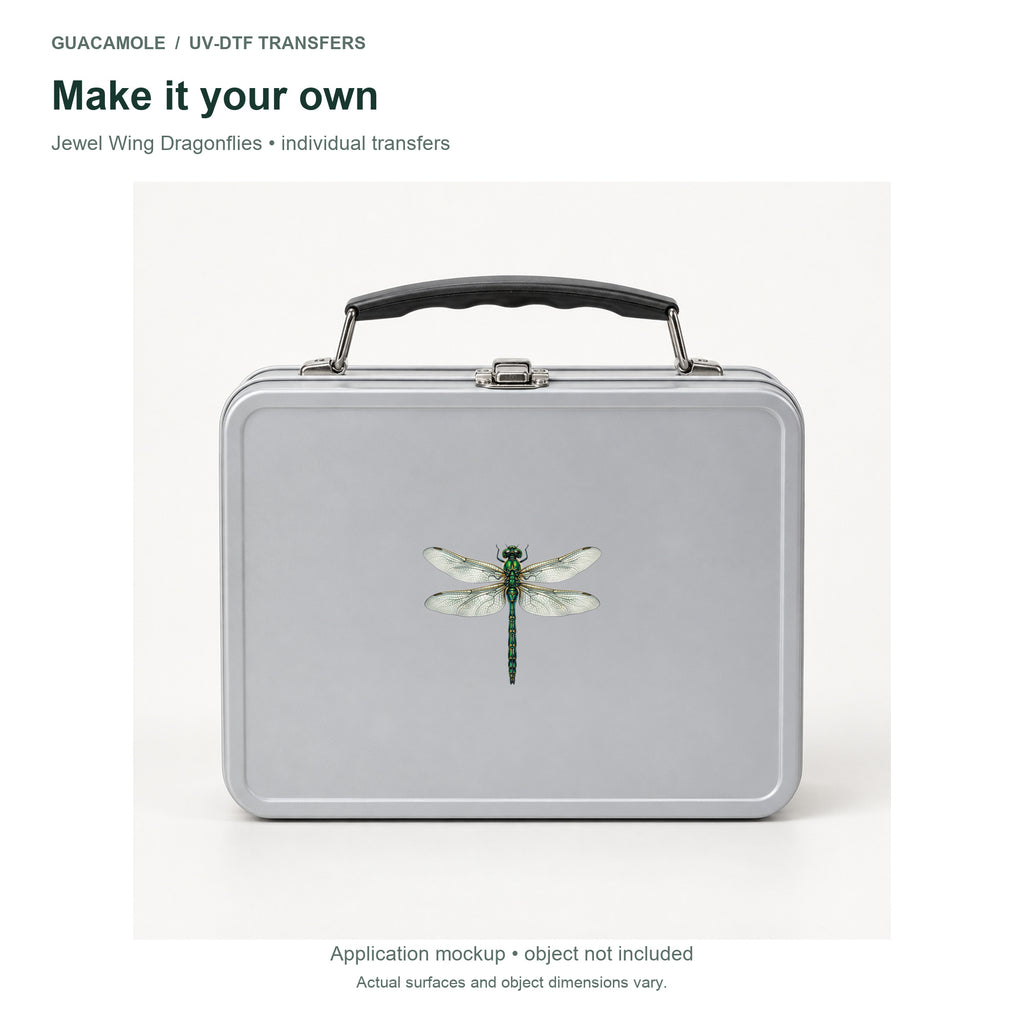 Jewel Wing Dragonflies — Second application setting