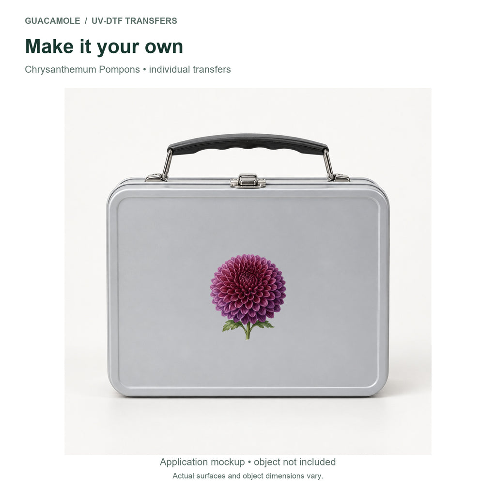 Chrysanthemum Pompons — Second application setting
