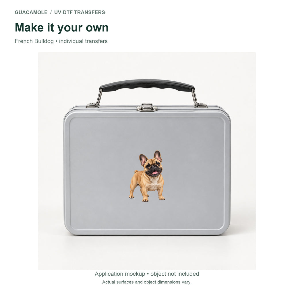 French Bulldog — Second application setting